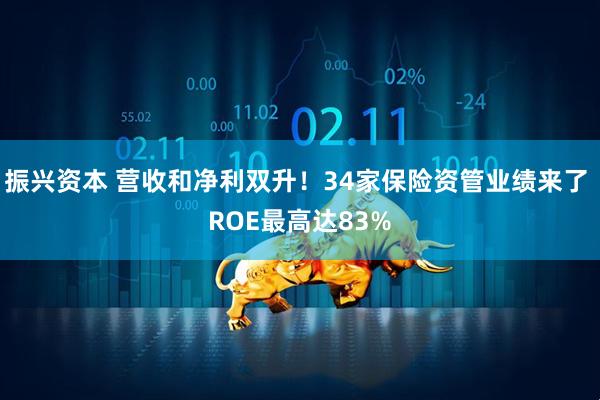 振兴资本 营收和净利双升！34家保险资管业绩来了 ROE最高达83%